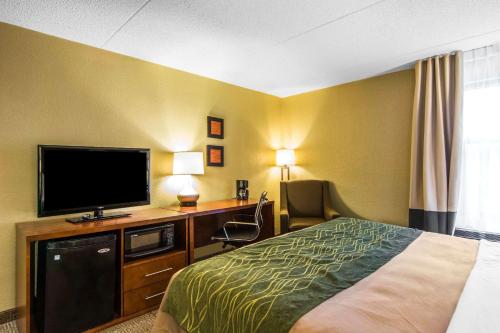 Comfort Inn Newport News/Williamsburg East