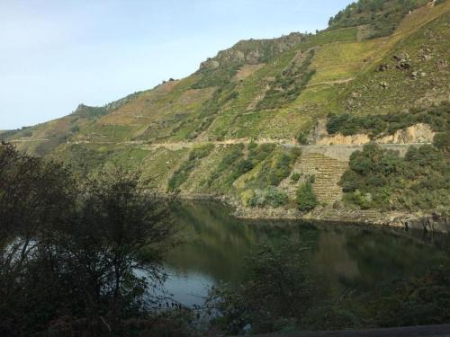 Acogedor Apartamento Ribeira Sacra