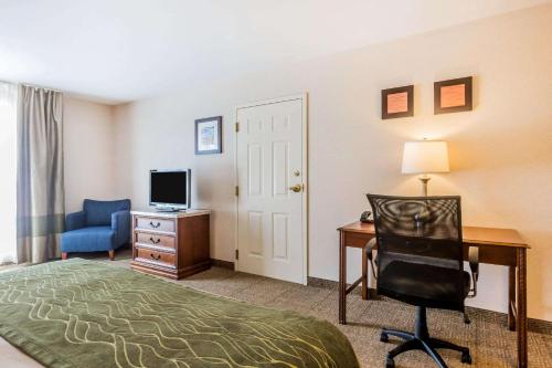 Comfort Inn & Suites South Burlington