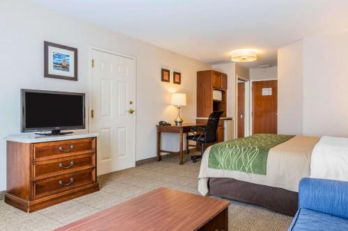 Comfort Inn & Suites South Burlington