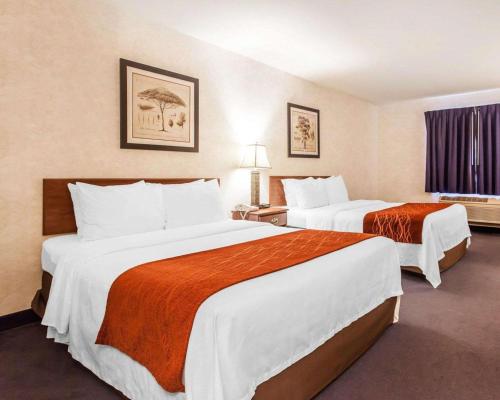 Comfort Inn & Conference Center Tumwater/ Olympia - main image