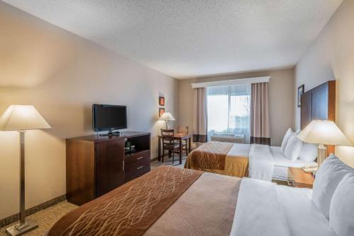 Comfort Inn & Suites Seattle North - image 3