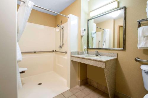 Comfort Suites Wisconsin Dells Area - Hotel - Portage