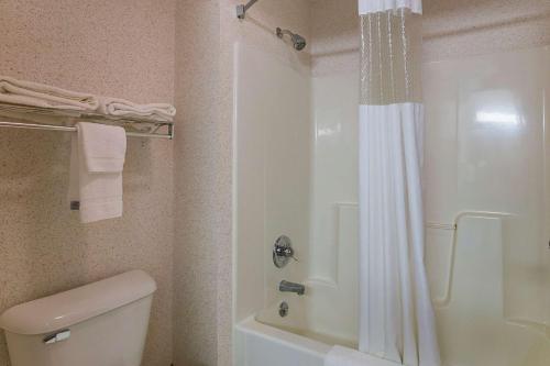 Quality Inn & Suites Belmont Route 151 - image 6