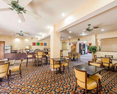 Comfort Suites London South - 레스토랑