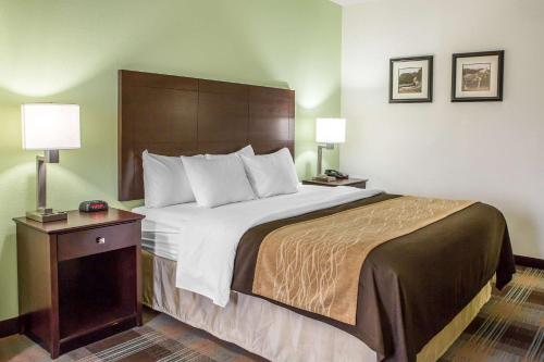 Comfort Inn Lexington South Room Type - King Room - Non-Smoking