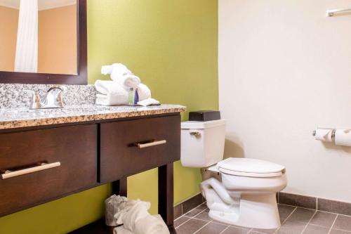 Sleep Inn & Suites Metairie - New Orleans West - 화장실