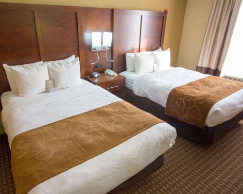 Comfort Suites Port Allen - Baton Rouge