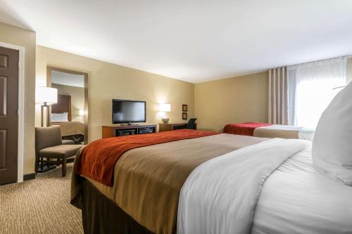 Comfort Inn & Suites Lexington