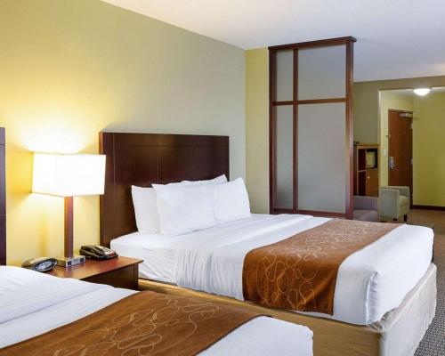 Comfort Suites Harvey - New Orleans West Bank - image 7