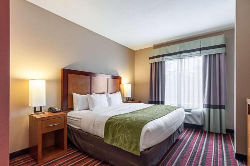 Comfort Suites Sulphur - Lake Charles - image 4