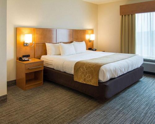 Comfort Suites Bossier City - image 5