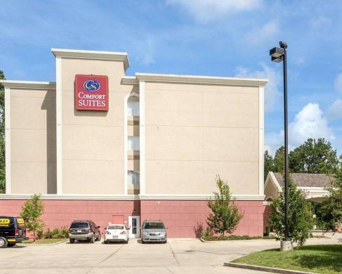 Comfort Suites Mandeville - image 3