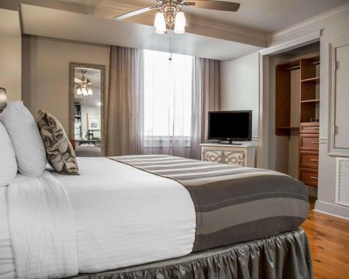 One-Bedroom Suite - Disability Access image 8