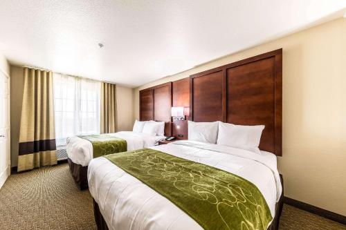 Comfort Suites Grand Prairie - Arlington North - image 3