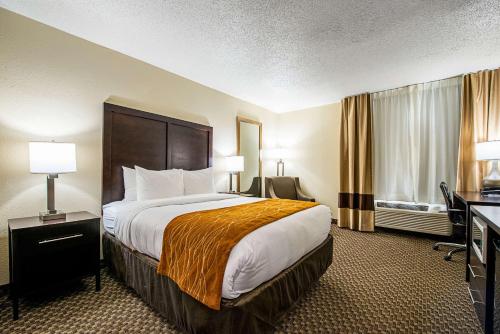 Comfort Inn Matteson