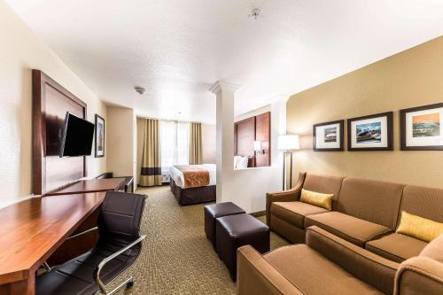 Comfort Suites Grand Prairie - Arlington North - image 6