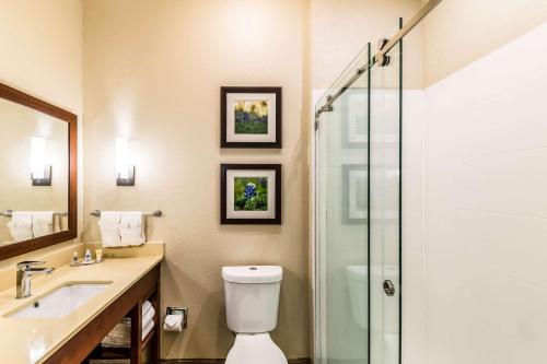 Comfort Suites Grand Prairie - Arlington North