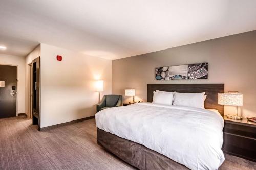 MainStay Suites Sarasota I-75 - image 7