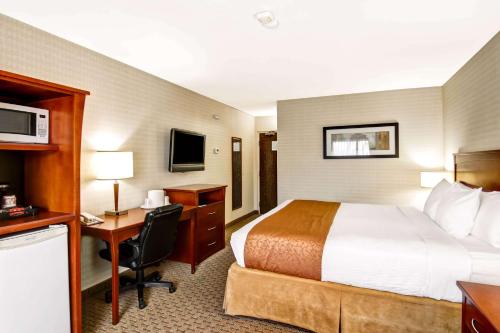 Quality Inn Room Type - 1 Queen Bed, Nonsmoking