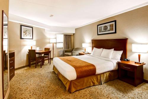 Quality Inn - Kitchener - Hotel