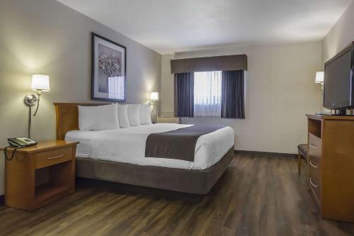 Standard Queen Room, 2nd Floor - Not Pet Friendly