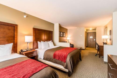 莱福康福特旅馆&套房酒店 莱福康福特旅馆&套房酒店