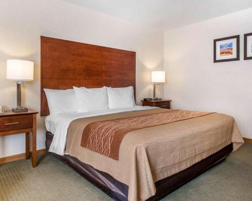 Comfort Inn Salida