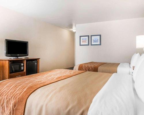 Queen Room with Two Queen Beds - Non-Smoking