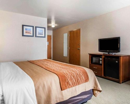 Comfort Inn Salida