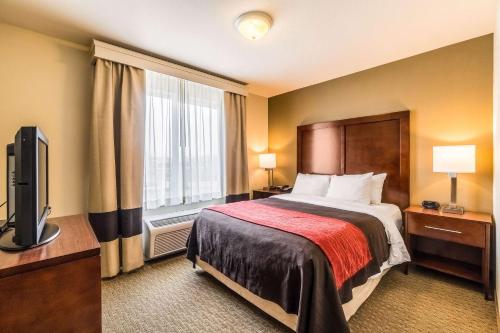 莱福康福特旅馆&套房酒店 莱福康福特旅馆&套房酒店