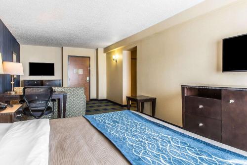 Comfort Inn & Suites - image 17