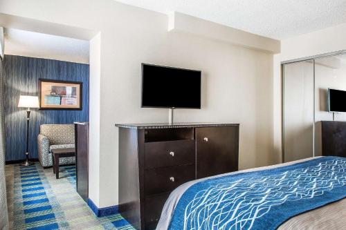 Comfort Inn & Suites - image 31