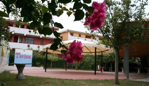 Hotel Turium - image 5