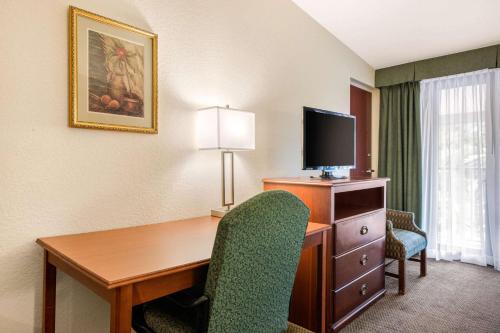 Quality Inn & Suites Tarpon Springs South - image 10