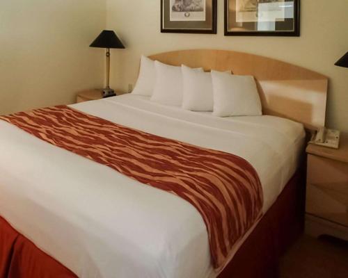 Rodeway Inn South Miami - Coral Gables South Miami - image 8