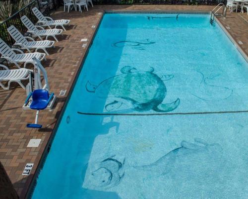 Quality Inn near Manatee Springs State Park - image 3