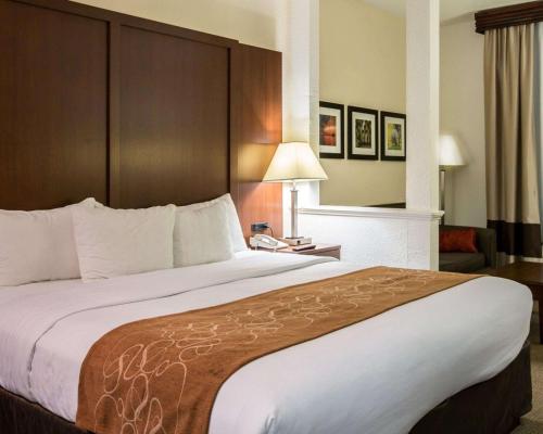Comfort Suites Cumming - image 9