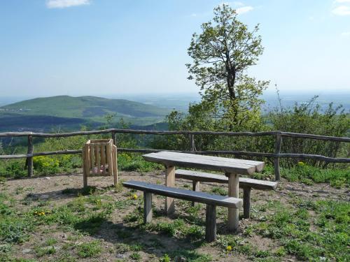 Panoráma Panzió - image 13
