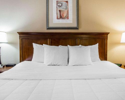 Quality Inn & Suites Dawsonville