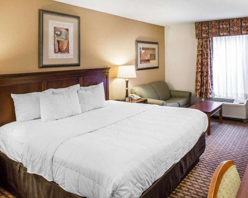 Quality Inn & Suites Dawsonville