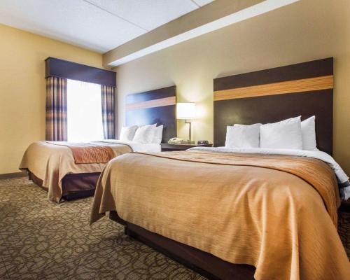 Comfort Inn & Suites At Stone Mountain