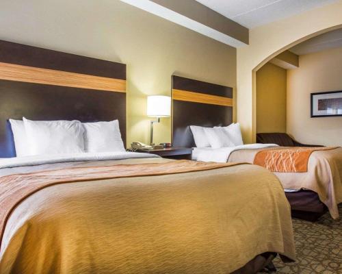 Comfort Inn & Suites At Stone Mountain