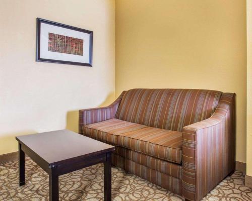 Comfort Inn & Suites At Stone Mountain