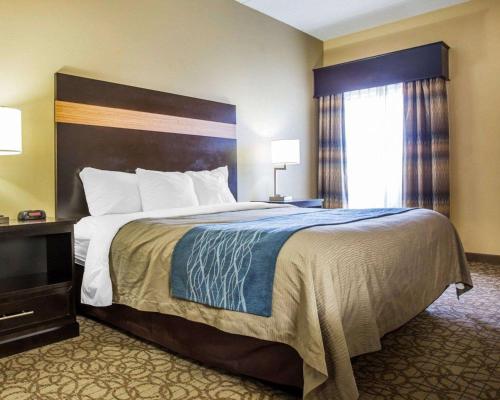 Comfort Inn & Suites At Stone Mountain