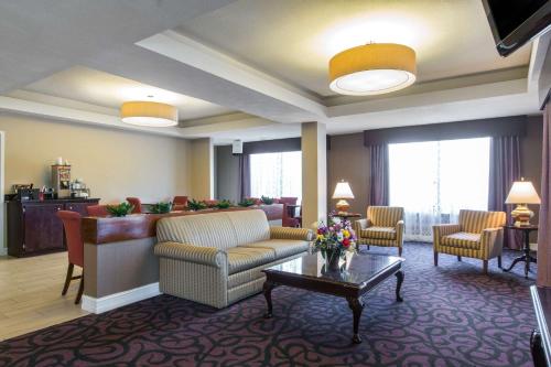 Royal Palms Inn - 로비