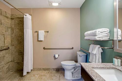 Clarion Inn & Suites Atlanta Downtown - image 4