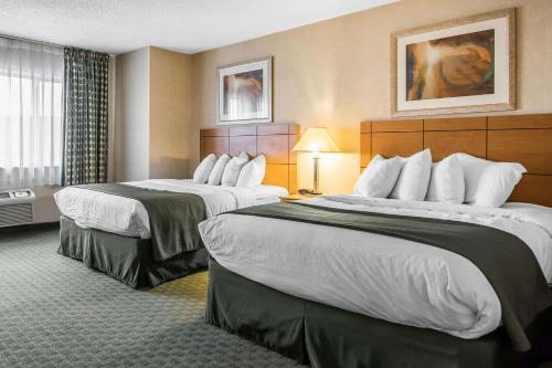 Quality Inn Dubuque - image 4