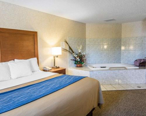 Quality Inn - image 4