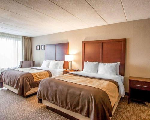 Quality Inn & Suites Orland Park - Chicago - image 7
